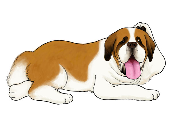 Saintbernard Jpg